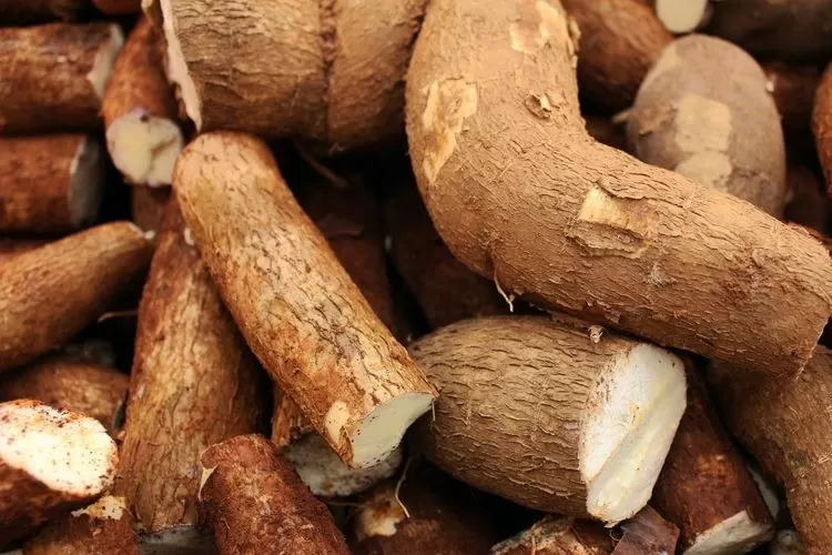 Beritabali.com