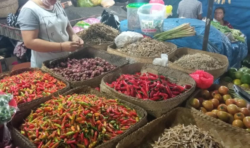 Beritabali.com