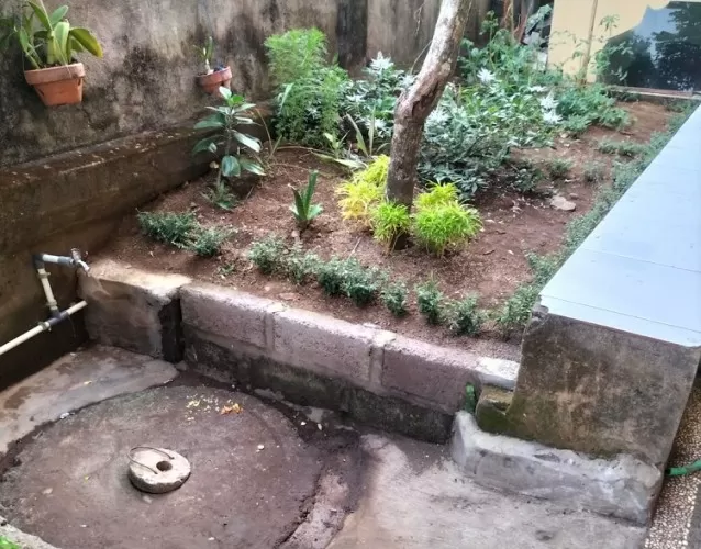 Beritabali.com