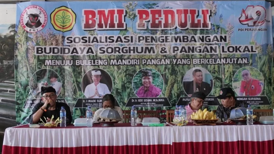 Beritabali.com