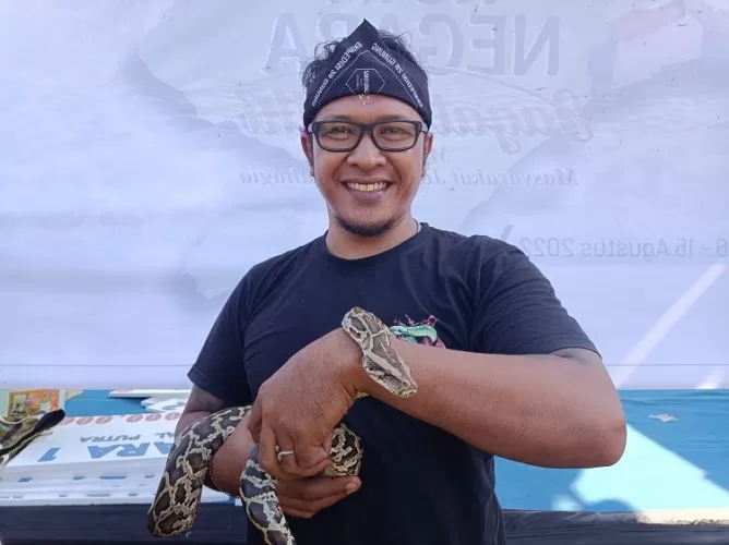 Beritabali.com