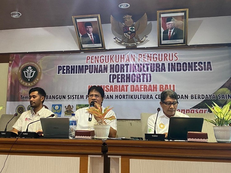 Beritabali.com
