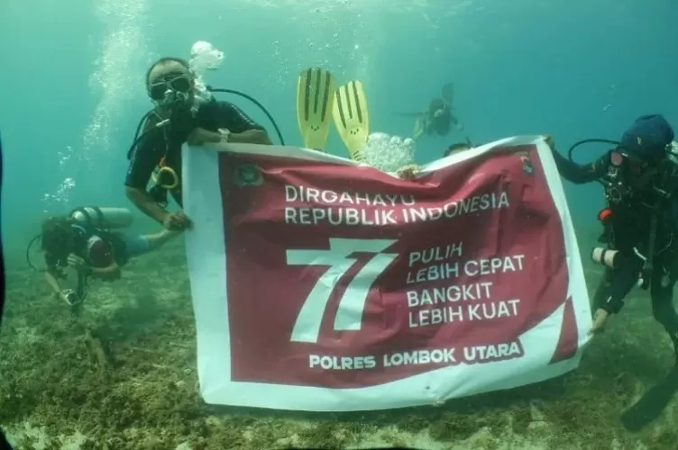 Beritabali.com
