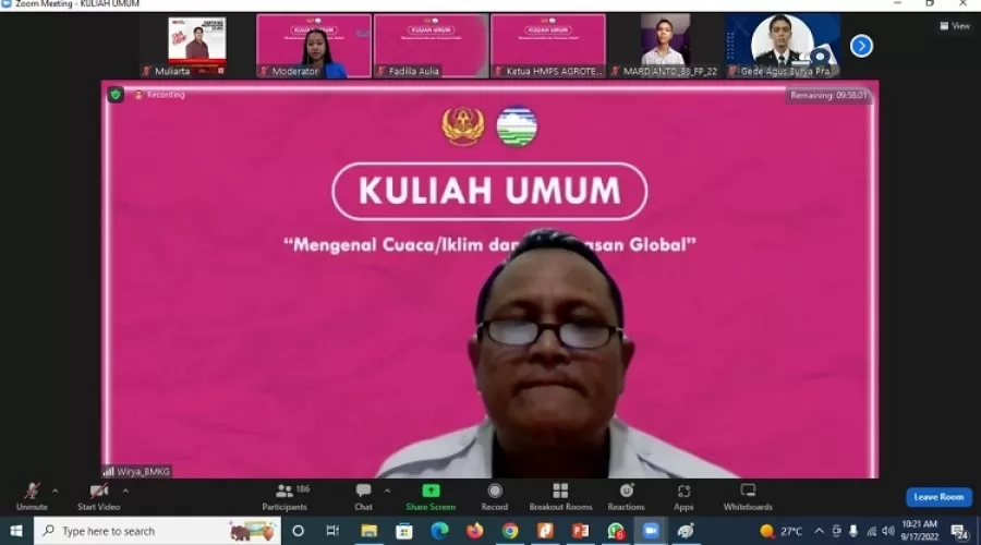 Beritabali.com