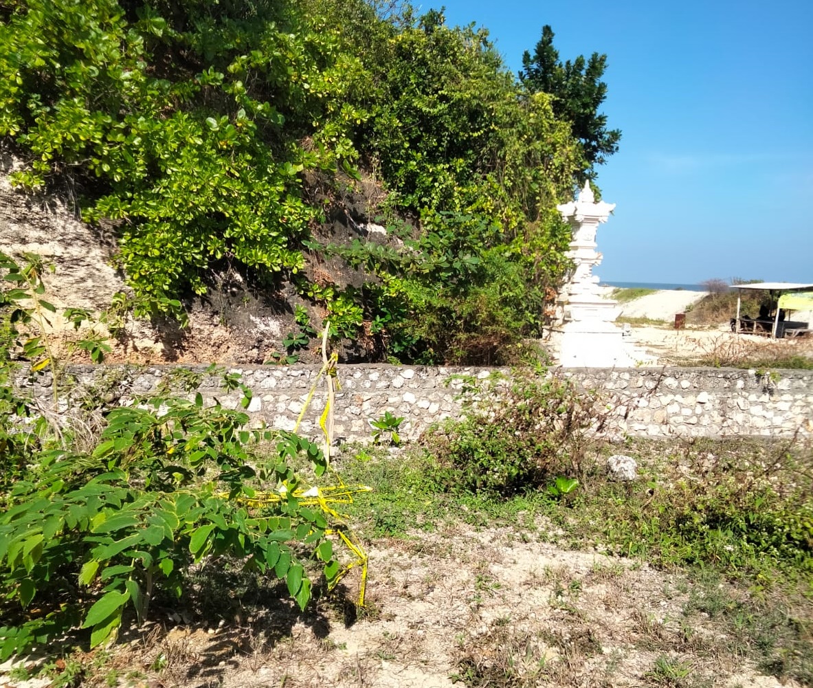 Beritabali.com