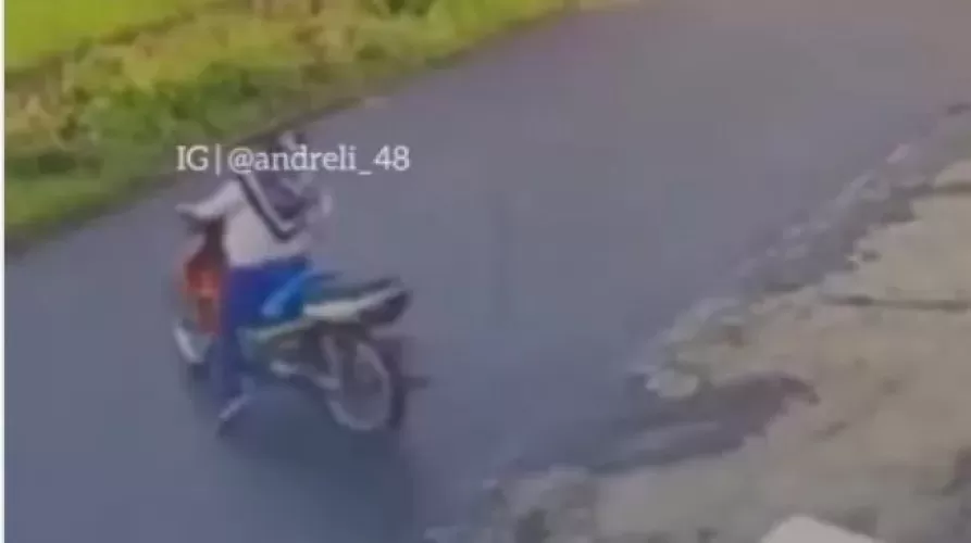 Beritabali.com