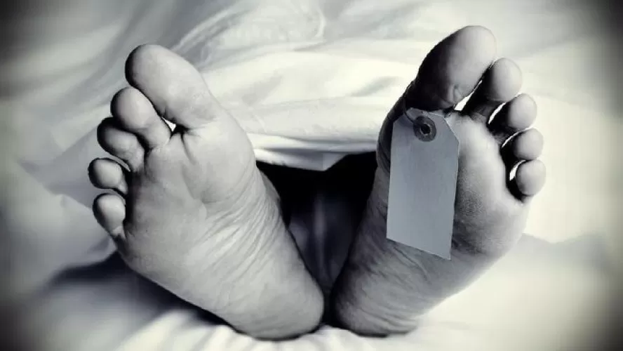 Beritabali.com
