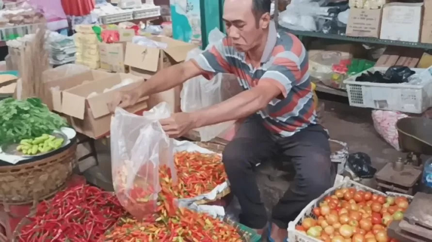 Beritabali.com