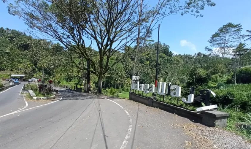 Beritabali.com