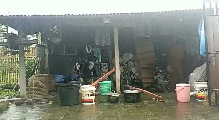 Beritabali.com
