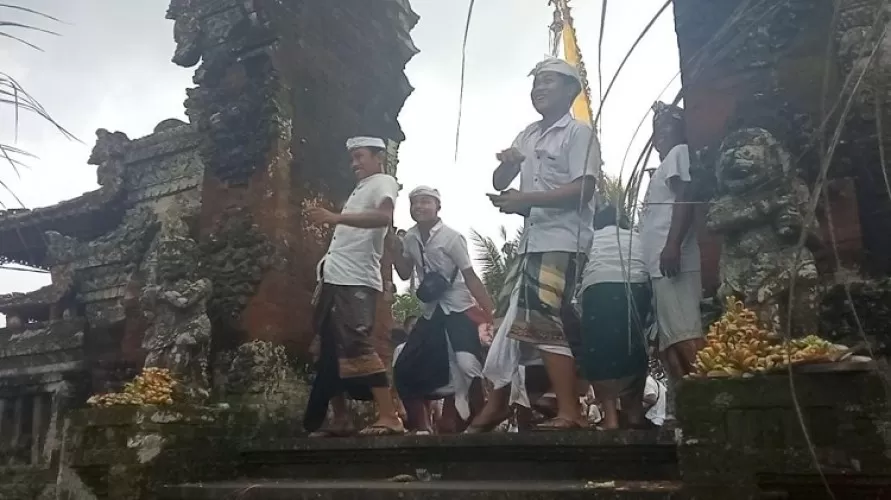 Beritabali.com