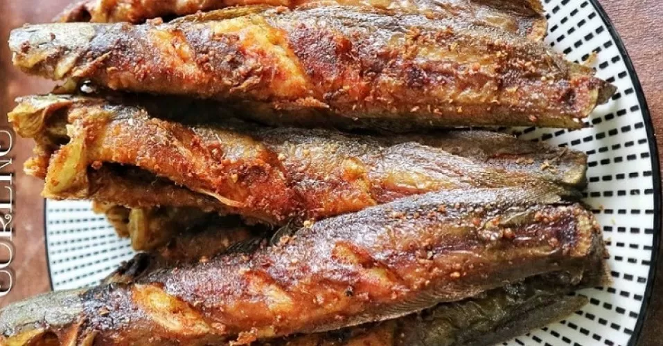 Beritabali.com