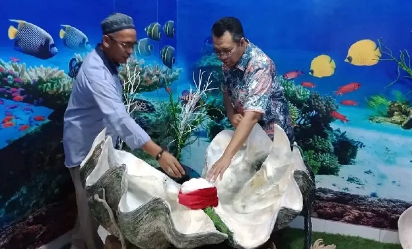 Beritabali.com