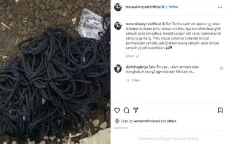 Beritabali.com