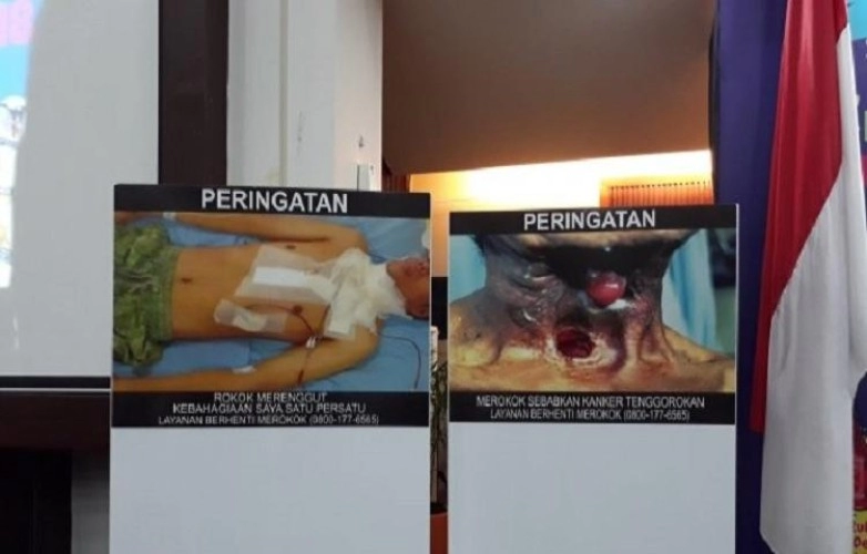 Beritabali.com