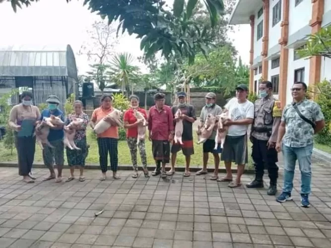 Beritabali.com