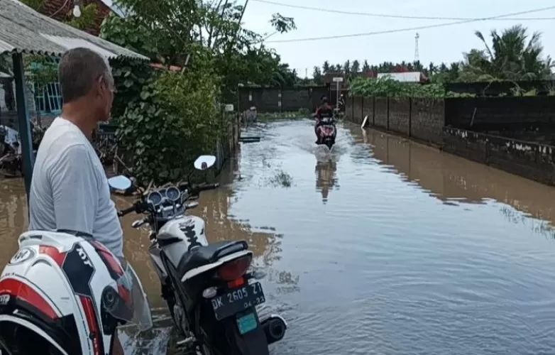 Beritabali.com