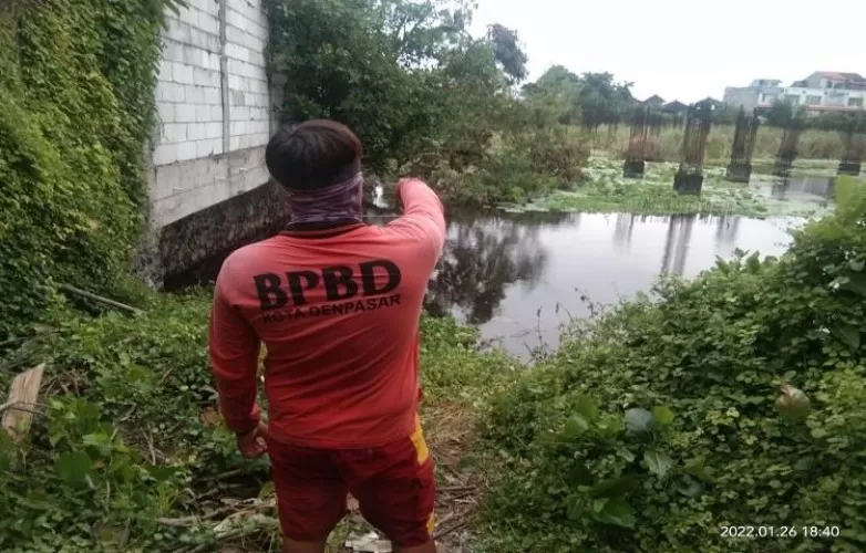 Beritabali.com