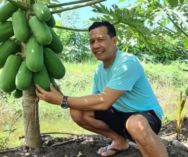 Beritabali.com