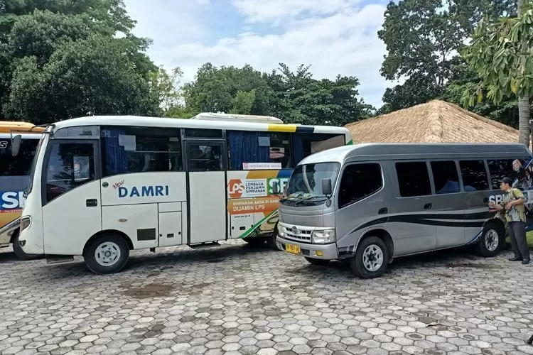 Beritabali.com