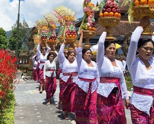 Beritabali.com