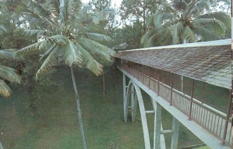Beritabali.com