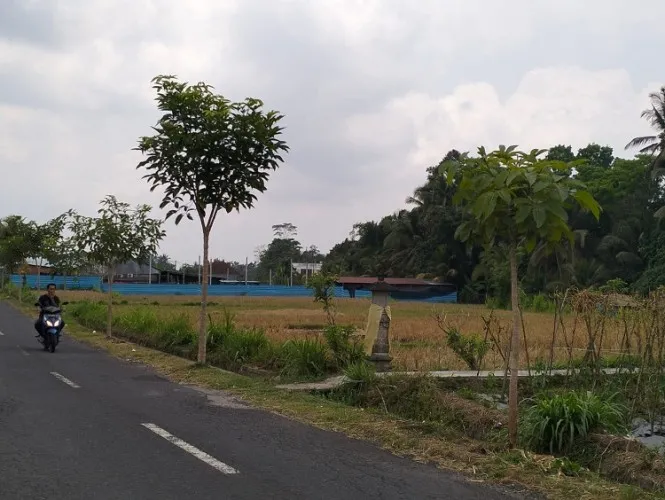 Beritabali.com
