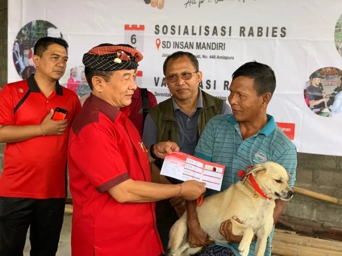 Beritabali.com