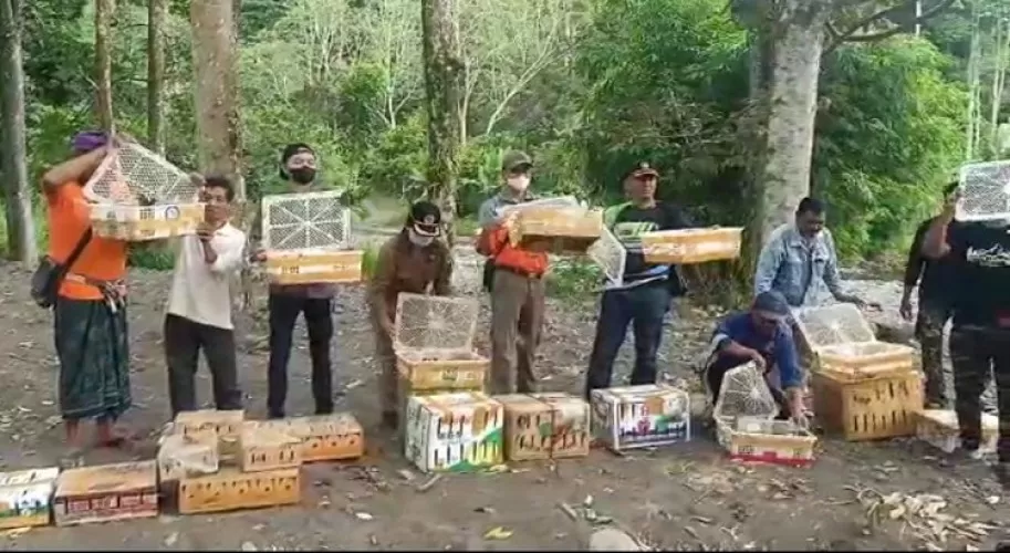 Beritabali.com
