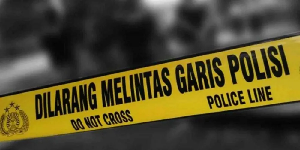 Beritabali.com