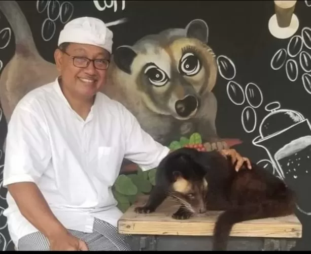 Beritabali.com