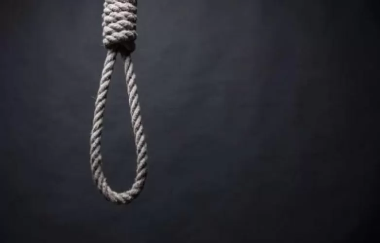 Beritabali.com