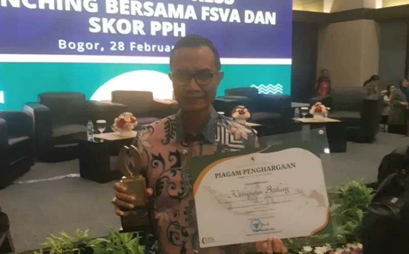 Beritabali.com