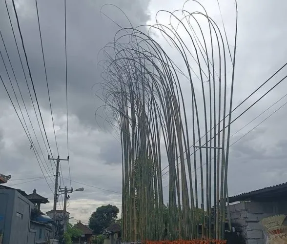 Beritabali.com