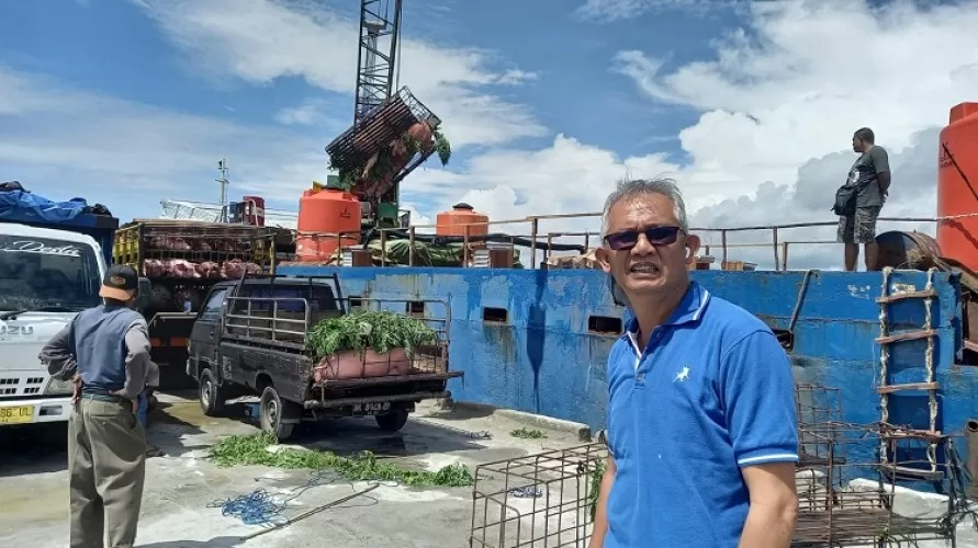Beritabali.com
