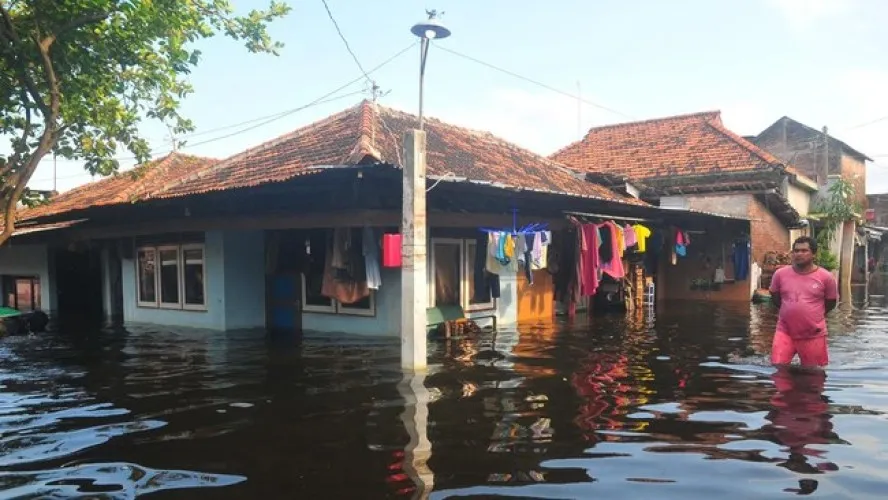 Beritabali.com