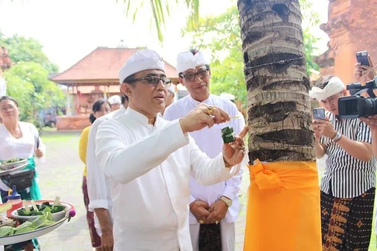 Beritabali.com
