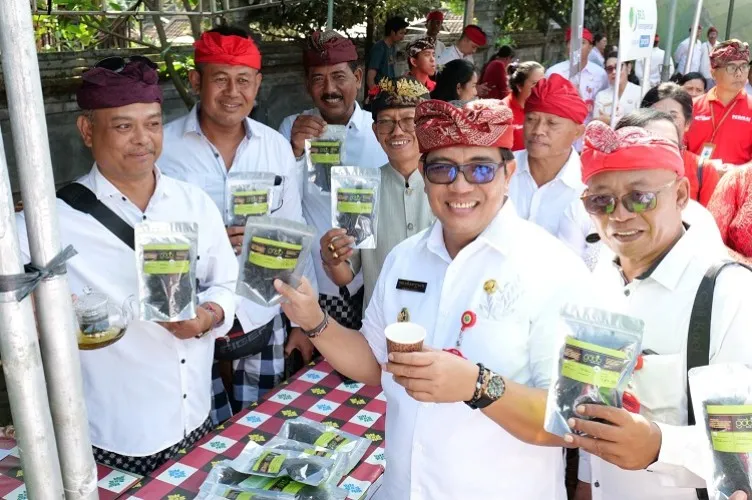 Beritabali.com