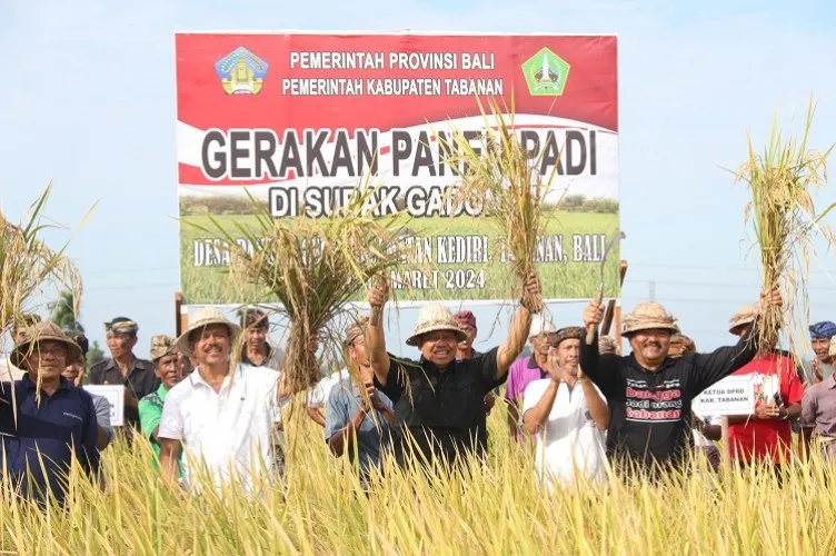 Beritabali.com