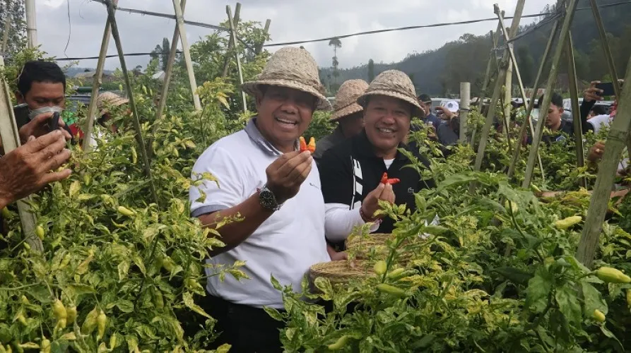 Beritabali.com