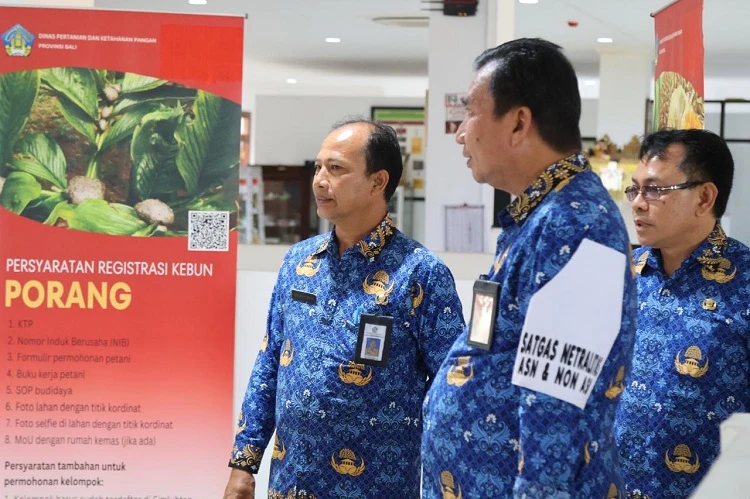 Beritabali.com