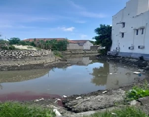 Beritabali.com