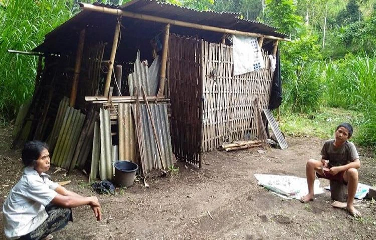 Beritabali.com