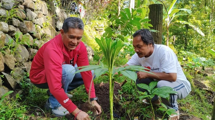 Beritabali.com