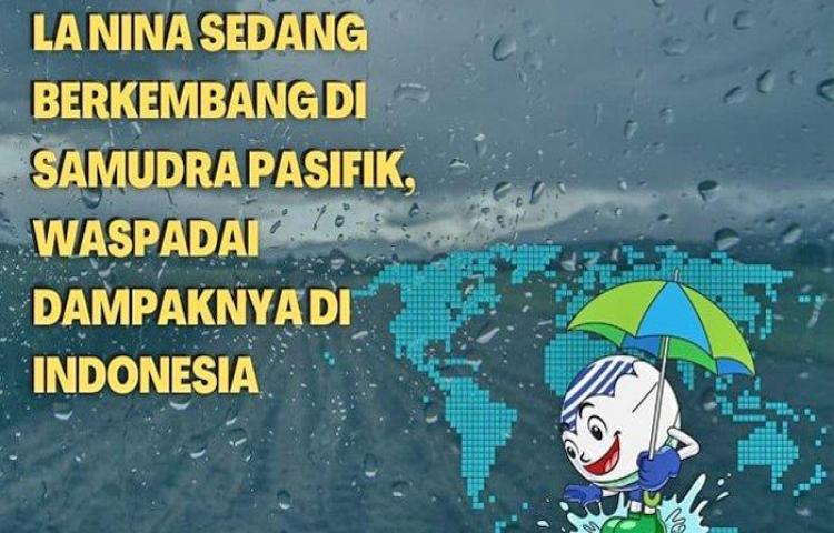 Beritabali.com