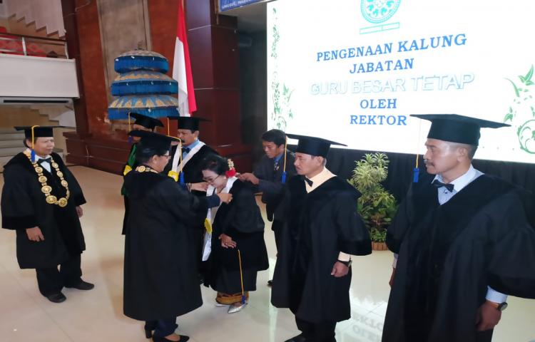 Beritabali.com