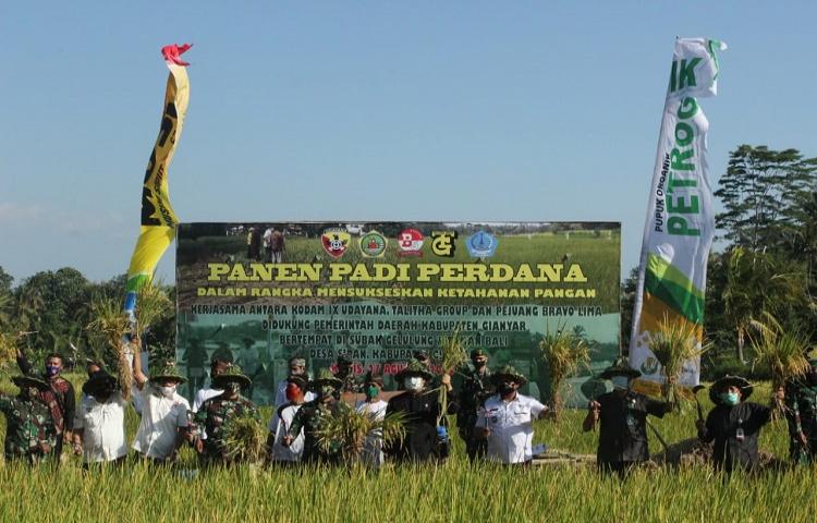 Beritabali.com