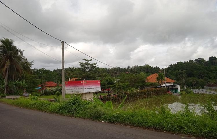 Beritabali.com