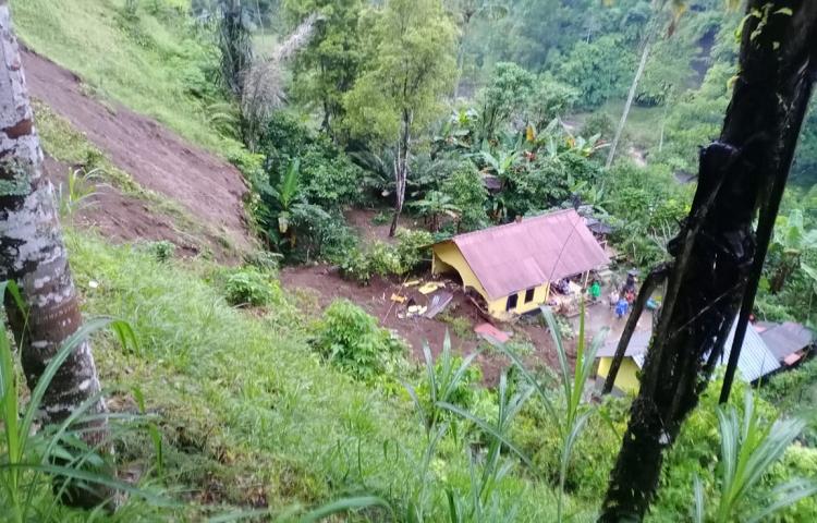 Beritabali.com