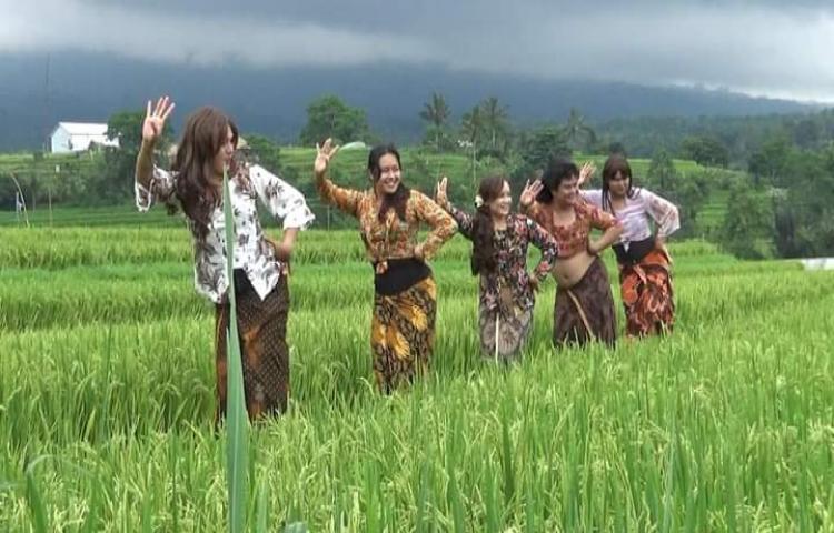 Beritabali.com
